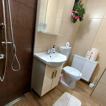 Grinda House - Center Park And Apartment Brasov
