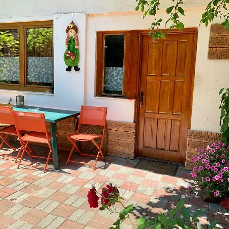 Grinda House - Center Park And Apartment Brasov